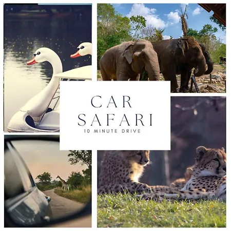 Cozy, Simple, And Affordable For Solo Traveler Holiday home